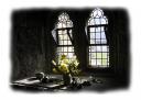 Iona Abbey window