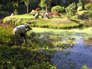 Photo shot at the japanese gardens
