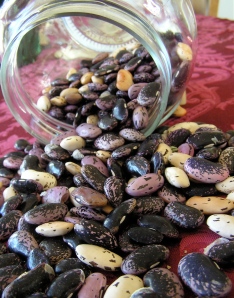 Scarlet runner beans ready for the winter