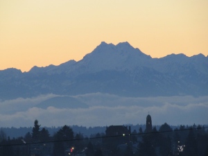 Olympic mountain view