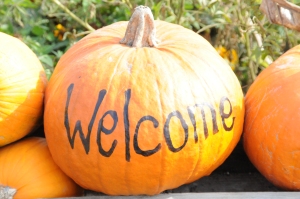 Pumpkin welcome