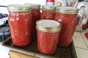 Preserving the harvest - Canning Tomatoes